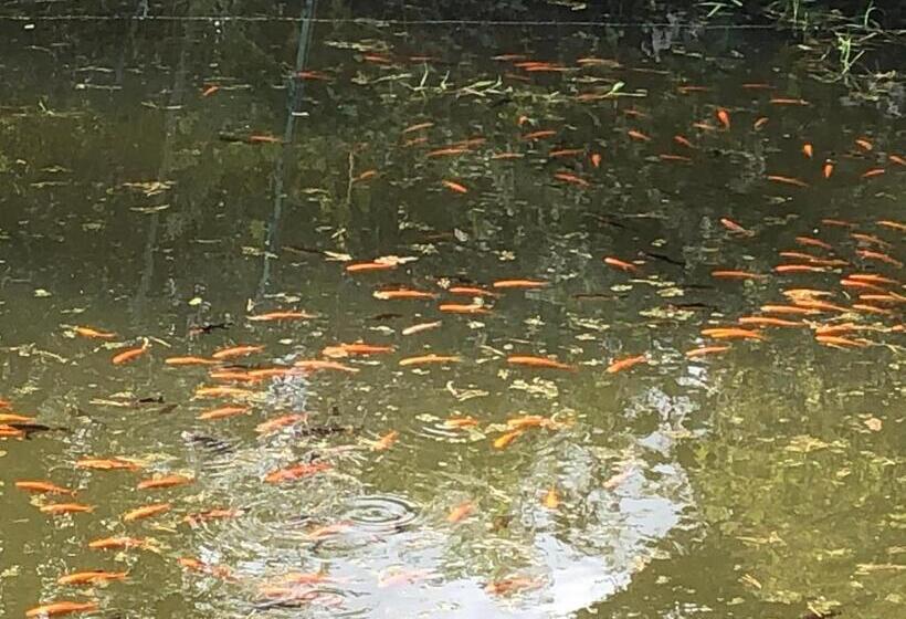 住宿加早餐 Ancien Hôtel Aux Moines Pierrefitte St Lo