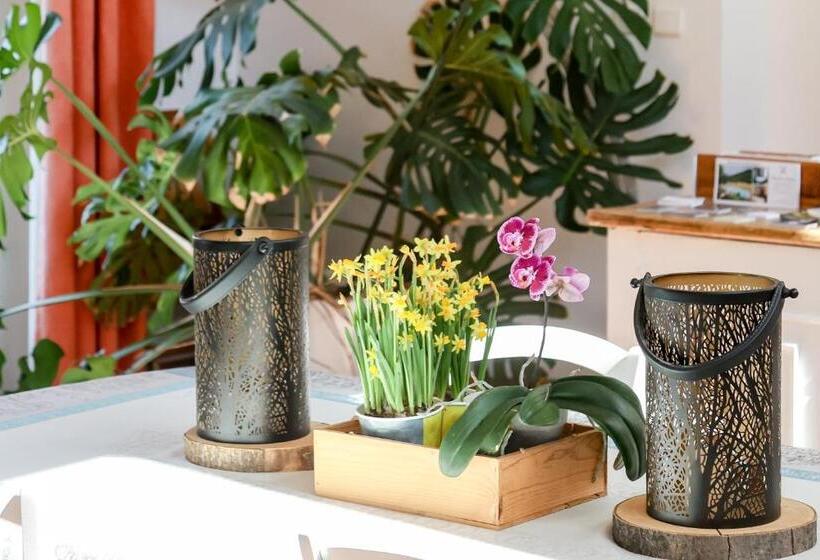 مبيت وإفطار Domaine De Montbarri