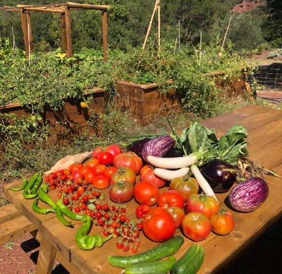 مبيت وإفطار Domaine De Montbarri