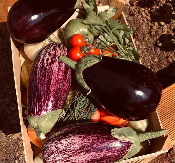 مبيت وإفطار Domaine De Montbarri