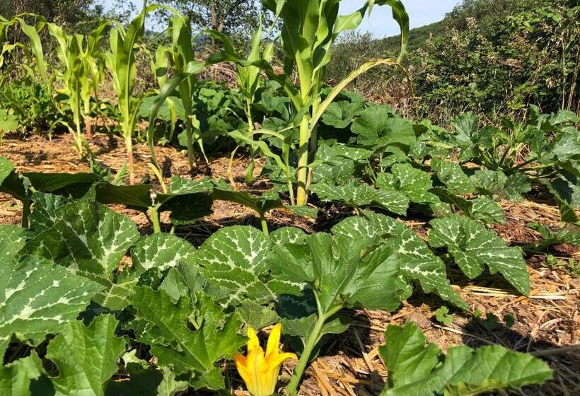 مبيت وإفطار Domaine De Montbarri