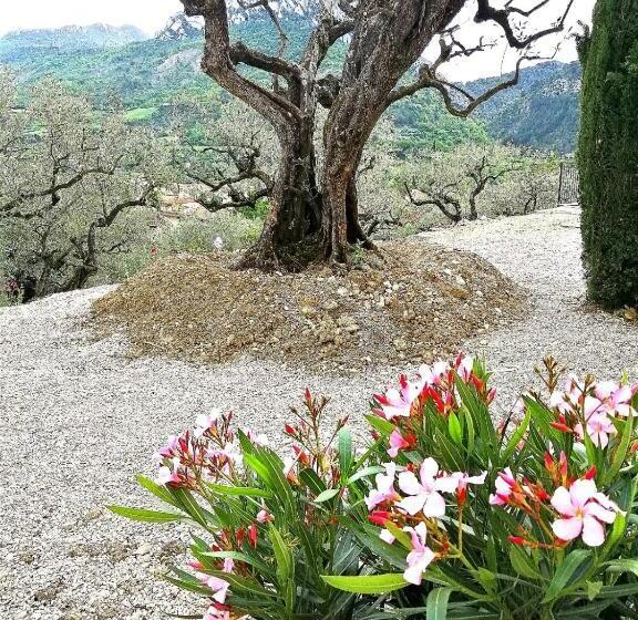 住宿加早餐 Le Mas Christine