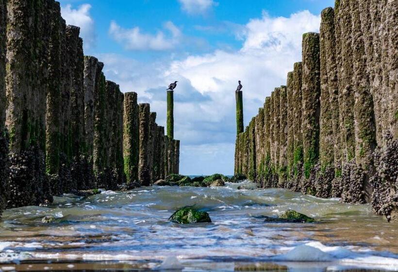 住宿加早餐 Luxe Kamer Aan Zee