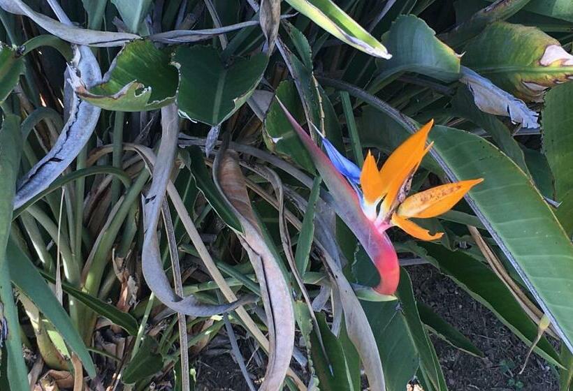 مبيت وإفطار Villa De La Luz Luxury Guesthouse