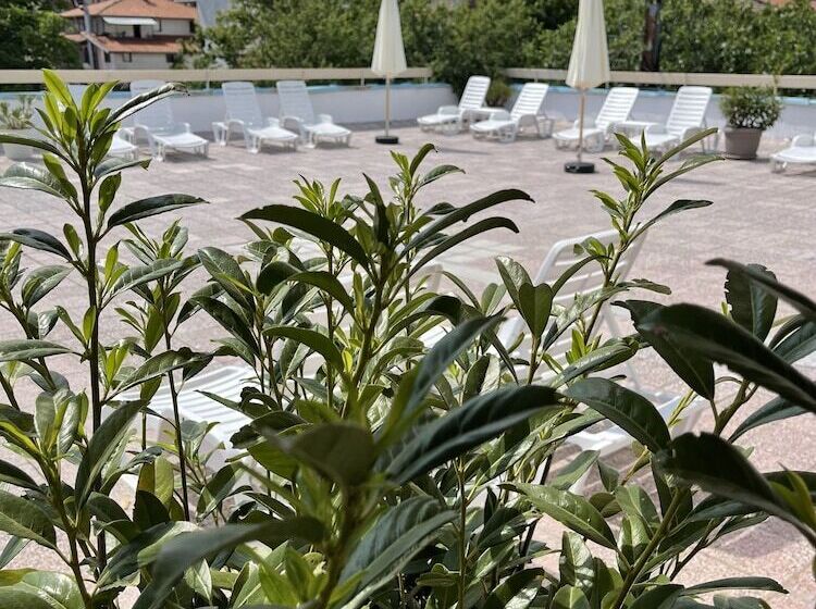 בית מלון כפרי Amadina Garden