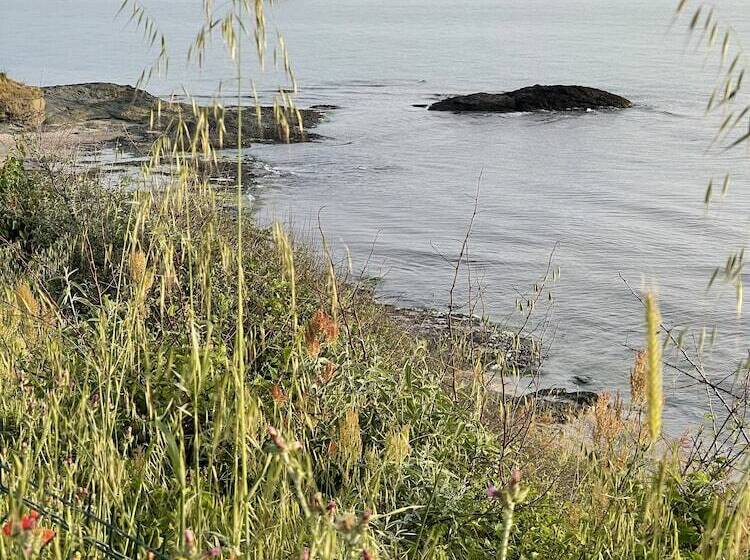 בית מלון כפרי Amadina Garden