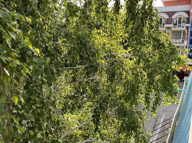 בית מלון כפרי Amadina Garden