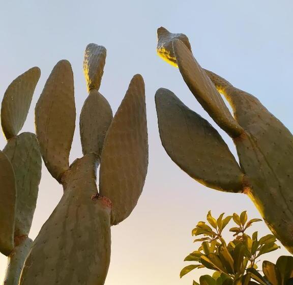 פנסיון Giardino Frannicola