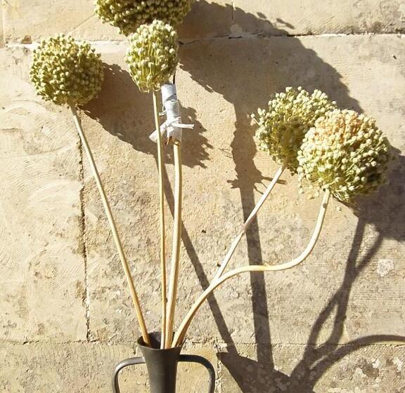 펜션 Giardino Frannicola