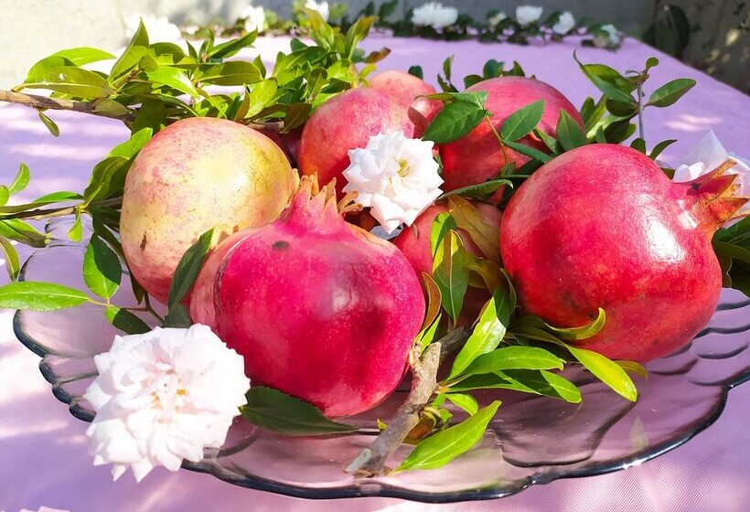 פנסיון Giardino Frannicola