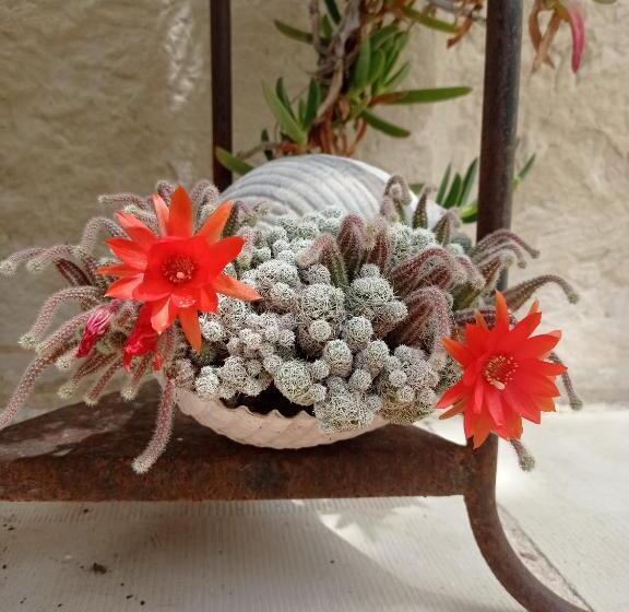 펜션 Giardino Frannicola