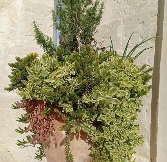 פנסיון Giardino Frannicola