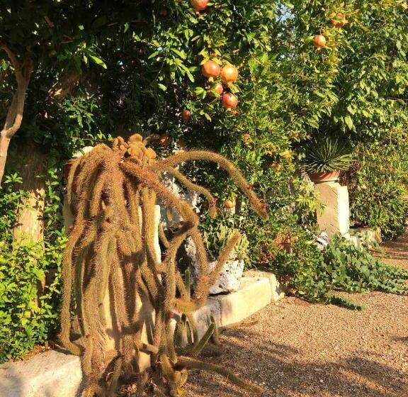 פנסיון Giardino Frannicola