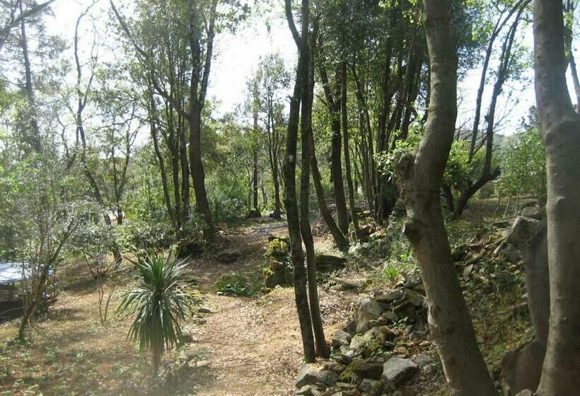 Пансион La Petite Bambouseraie