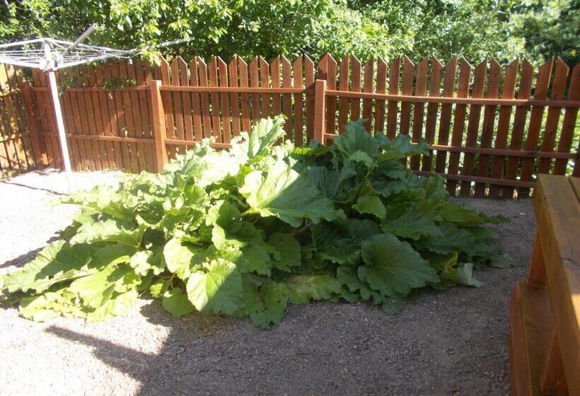 Пансион Lilla Stugan, Sjötorp