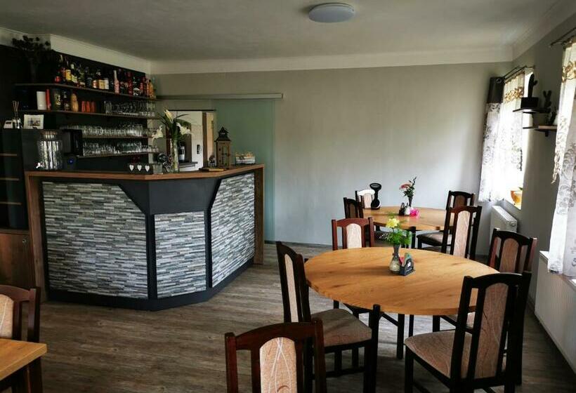 פנסיון Penzion U Jezevce