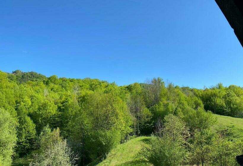 ペンション Perla Muntilor Ponoarele, Padurea De Liliac