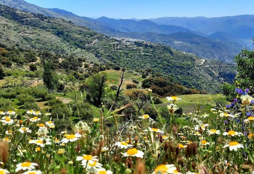 مبيت وإفطار Alpujarra Guesthouse, Habitaciones En Un Cortijo Sostenible Y Aislado En Medio De La Nada En Parque
