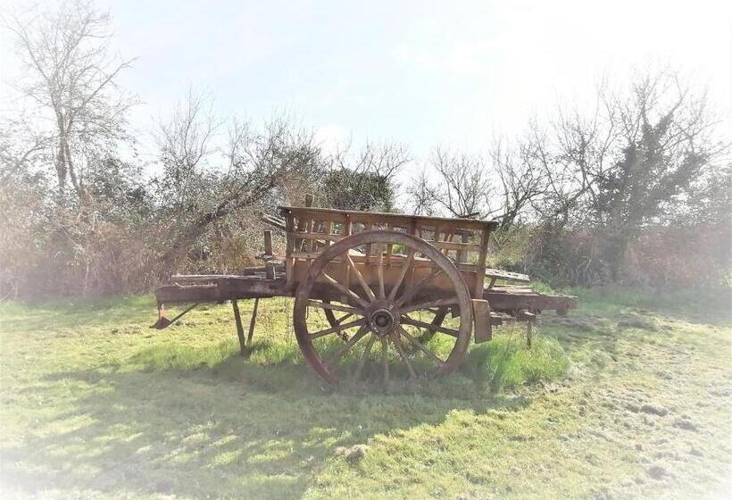 مبيت وإفطار Domaine De Gaïa, Piscine, Pétanque, Ping Pong, Proche Saint Emilion