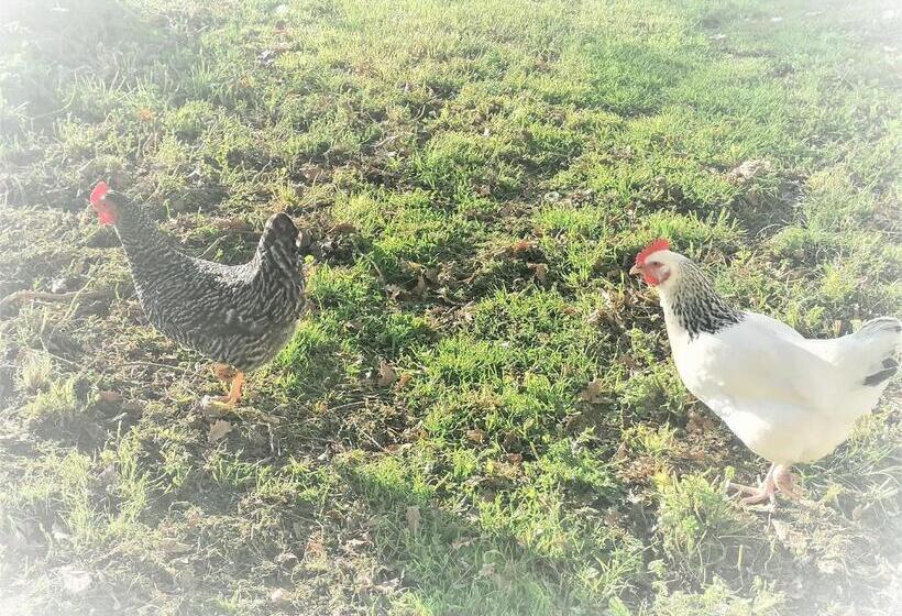 ベッドアンドブレックファースト Domaine De Gaïa, Piscine, Pétanque, Ping Pong, Proche Saint Emilion