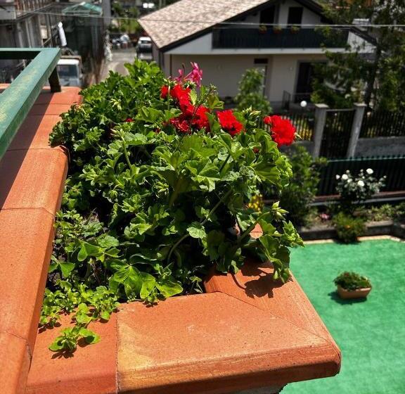 민박 Grotta Del Monaco