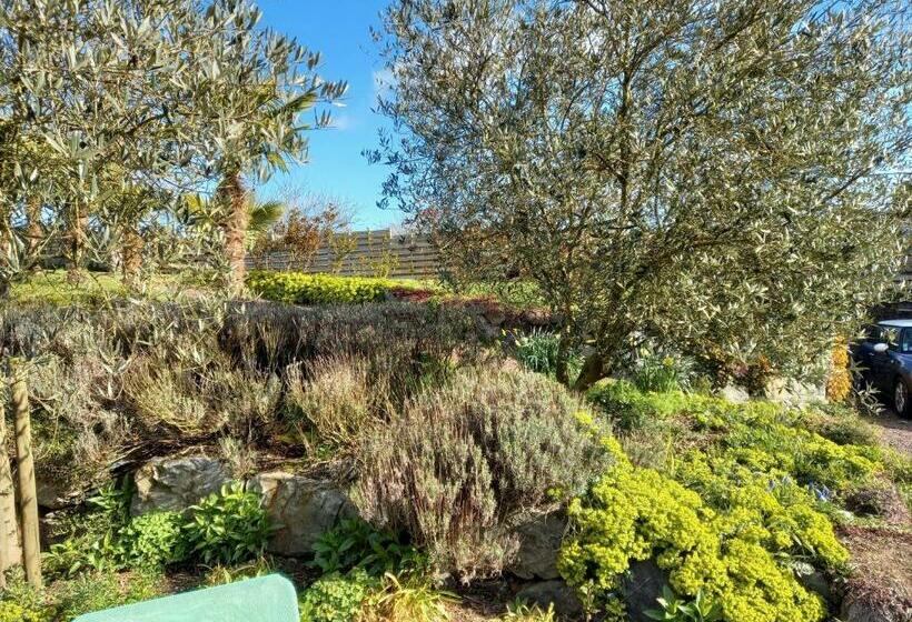 צימר Havre De Paix Et Jardin Tropical. Chambre Privée