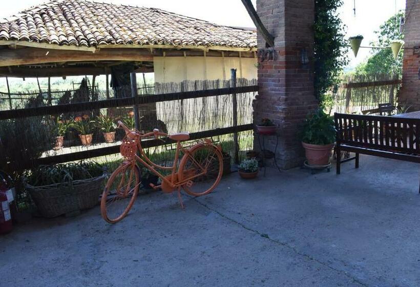 Bed and Breakfast La Casa Di Enzo