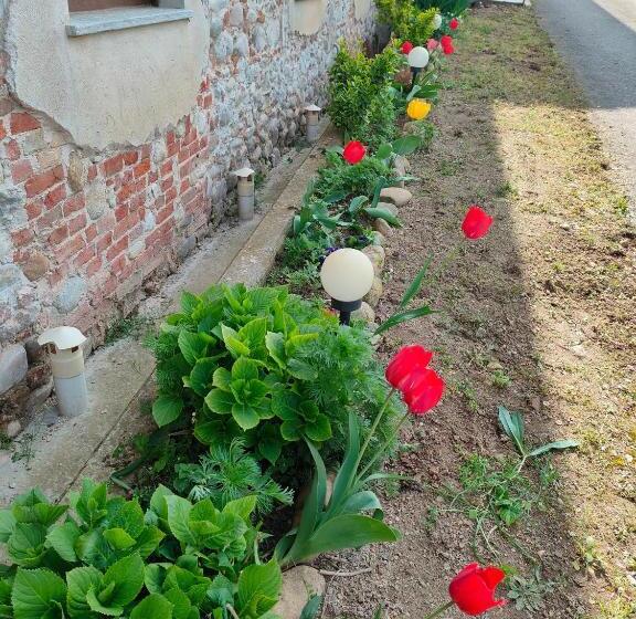Bed and Breakfast La Casa Di Enzo
