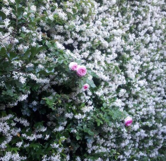 צימר Le Moulin Neuf De Parenty