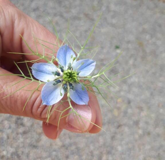 צימר Le Moulin Neuf De Parenty