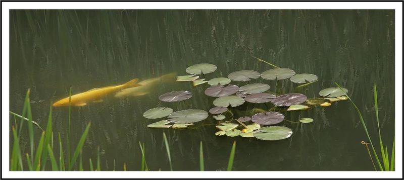 צימר Les Chambres De Liane