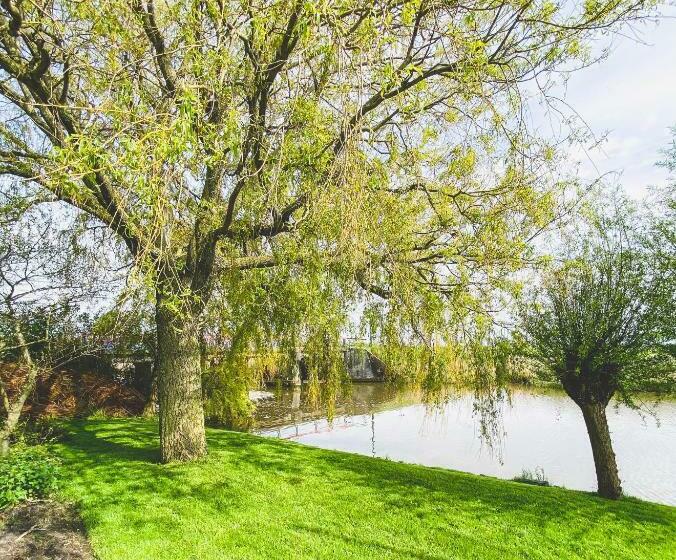 민박 Stay Inn Harlingen