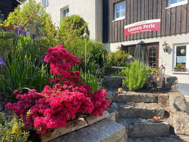 호텔 Bergpension Laasen Perle Rathen