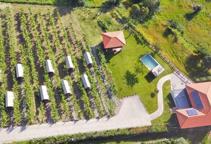 בית מלון כפרי Cimo Da Vinha   Nature Spot