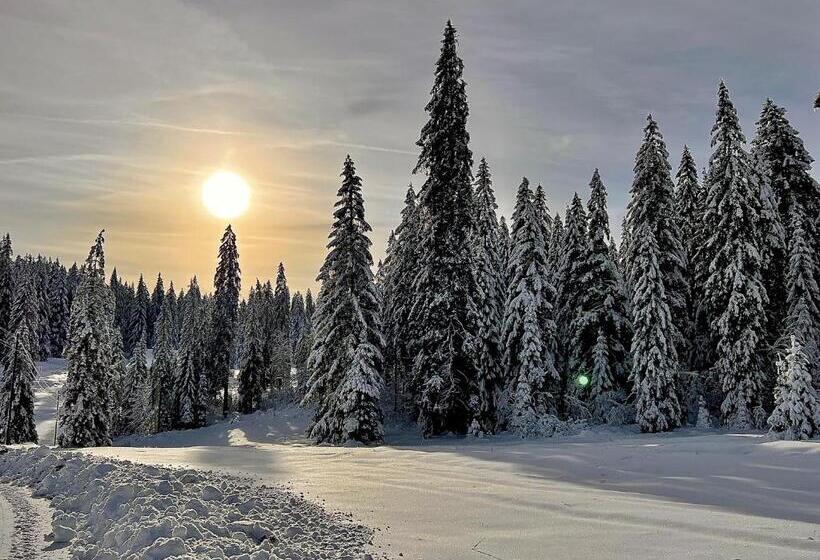 בית מלון כפרי Hôtel Restaurant Les Cernets Swiss Lodge Ssh