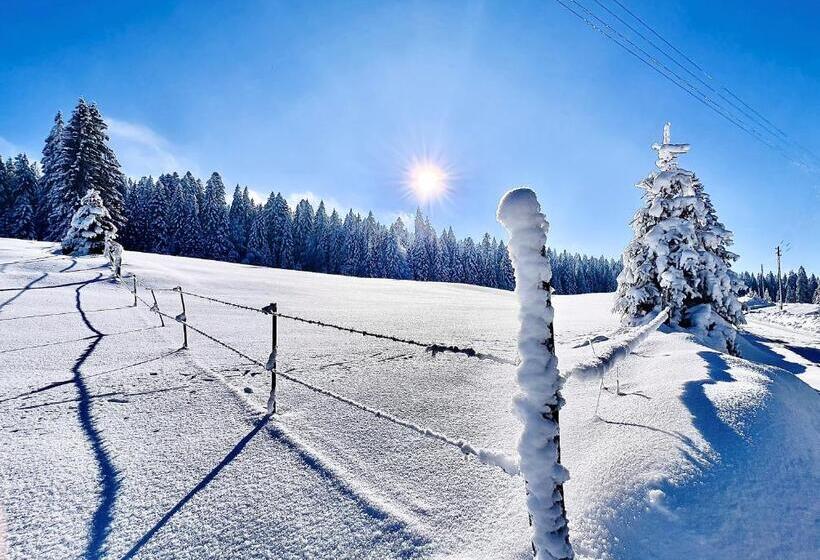 בית מלון כפרי Hôtel Restaurant Les Cernets Swiss Lodge Ssh