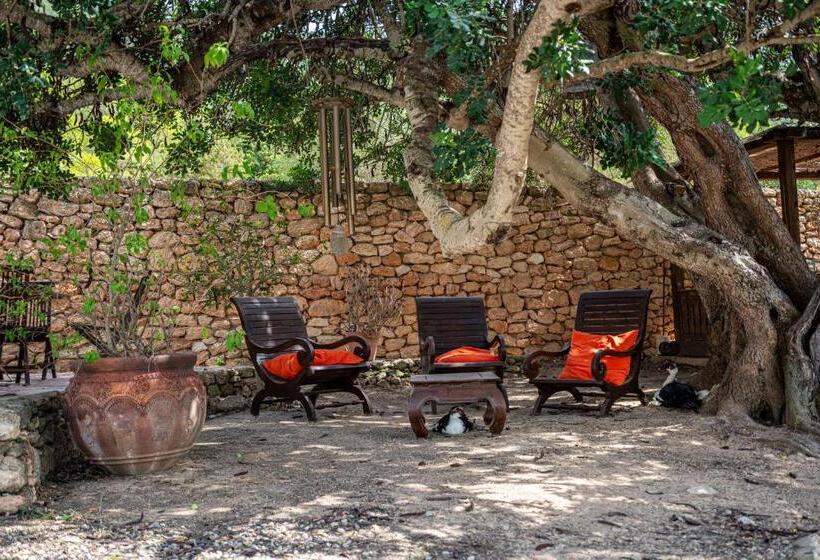 ホテル Robby S Ibiza