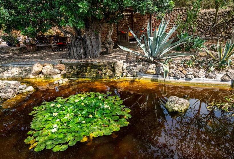 ホテル Robby S Ibiza