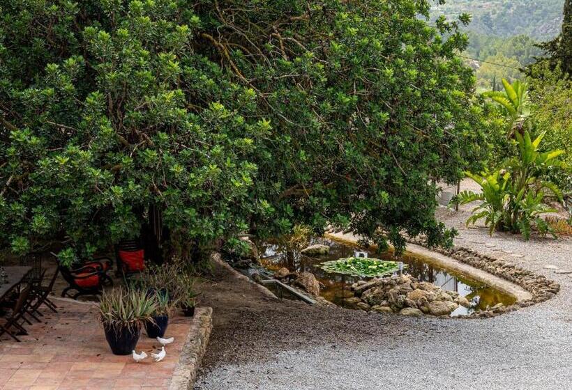 ホテル Robby S Ibiza