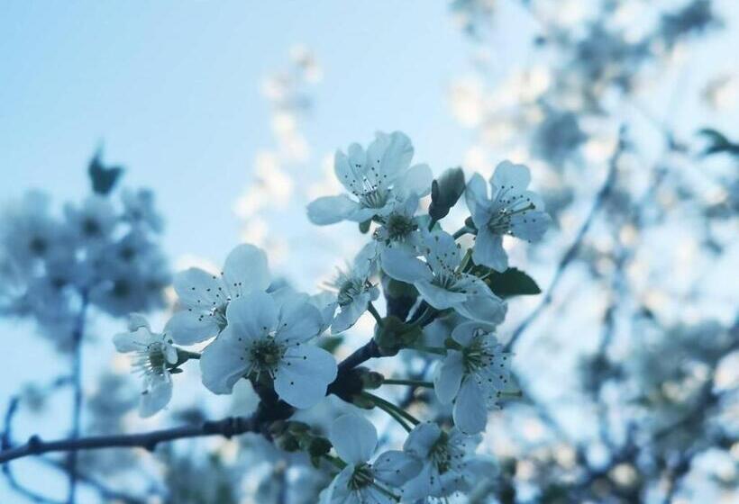 فندق Villa Vintage B&b