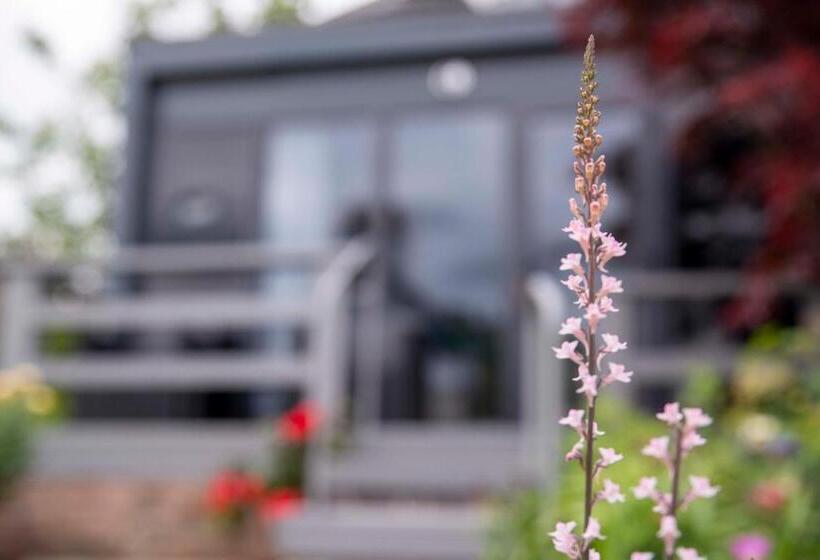 펜션 Braeside Guest House, Loch Lomond