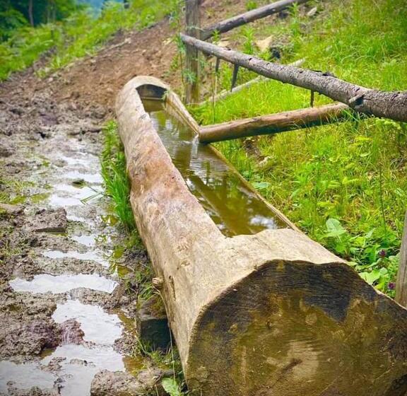 بنسيون Casa Agroturistica Tarancuta Din Vatra Moldovitei