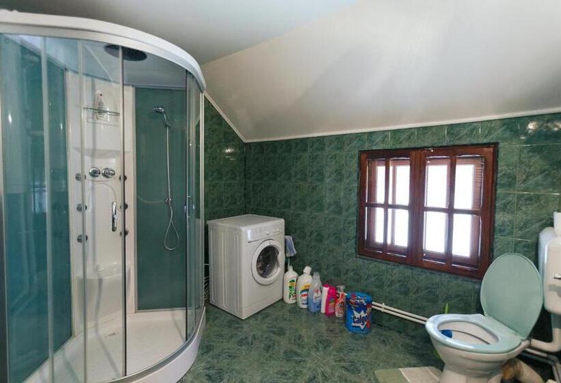 Пансион Casa Dintre Munti Karina