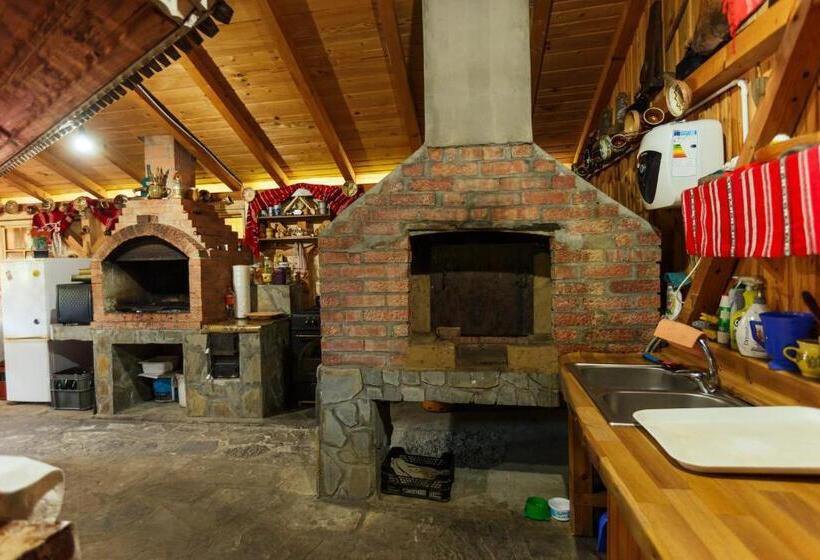 پانسیون Casa Dintre Munti Karina
