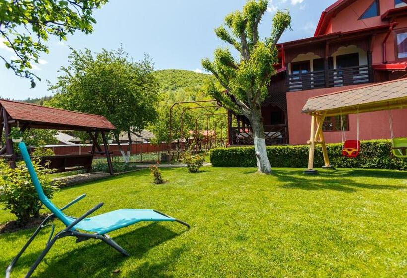 Пансион Casa Dintre Munti Karina