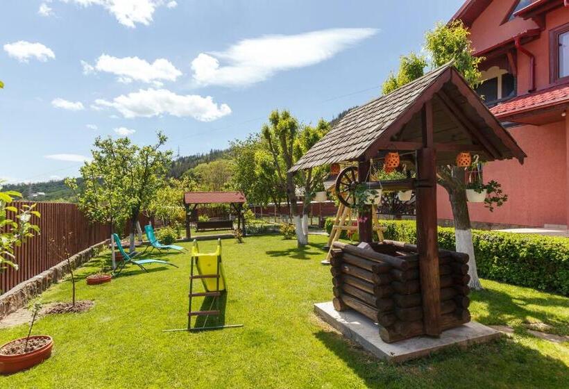 پانسیون Casa Dintre Munti Karina