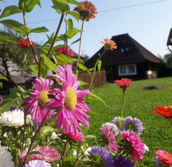 Пансион Casa Felicia