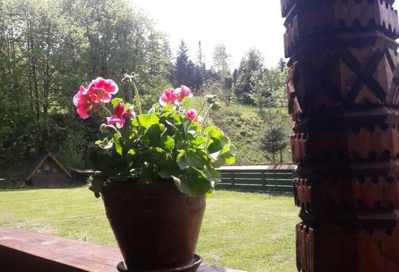 Пансион Casa Felicia