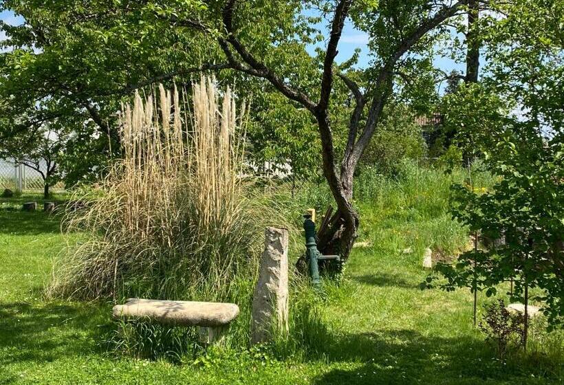 펜션 Château De Chatenay   Macon