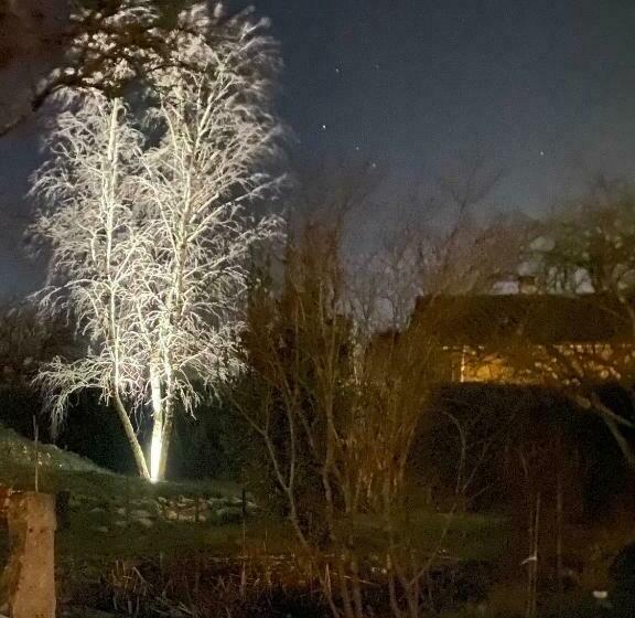 펜션 Château De Chatenay   Macon